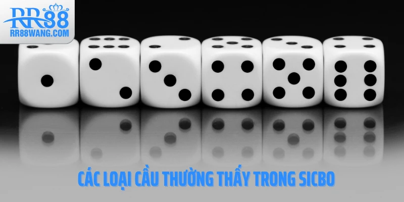 Các loại cầu thường thấy trong Sicbo Các loại cầu thường thấy trong Sicbo